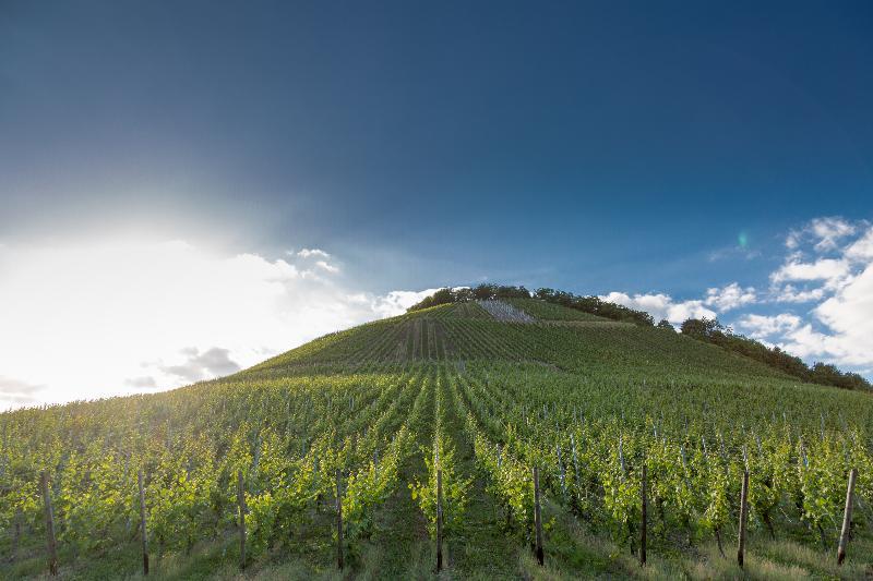 Weinhotel Ayler Kupp エクステリア 写真
